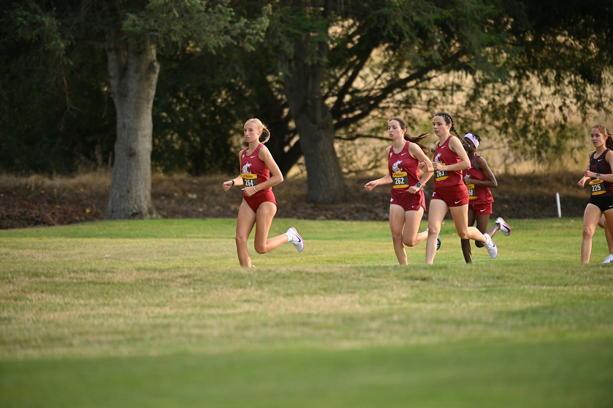 West Region's top spot finally belongs to our Cougar women