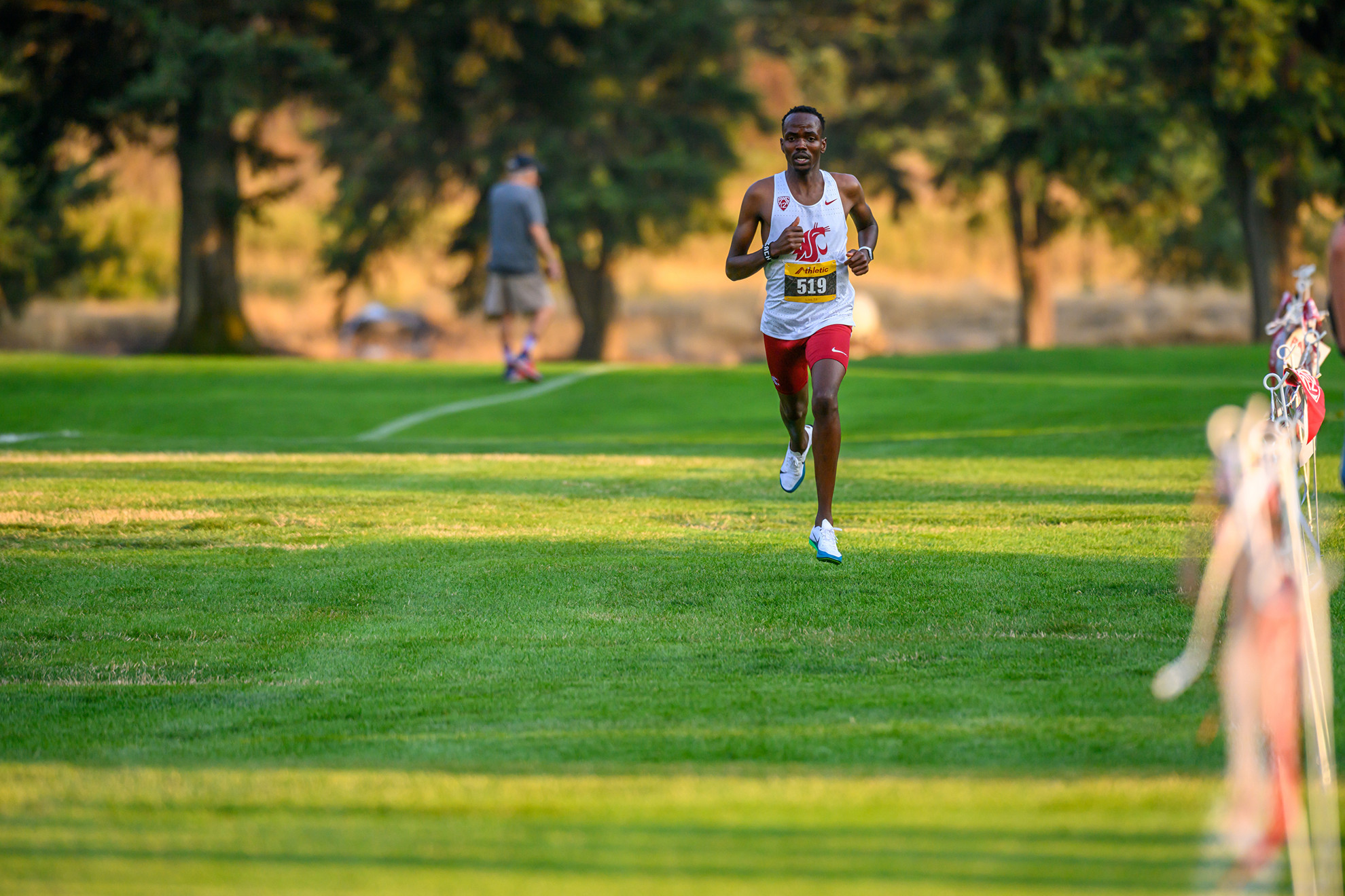 WSU Cross Country Earns a Spot Among the Nation's Best
