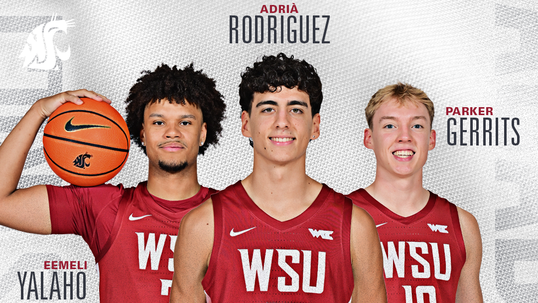 Men's basketball CSC honorees