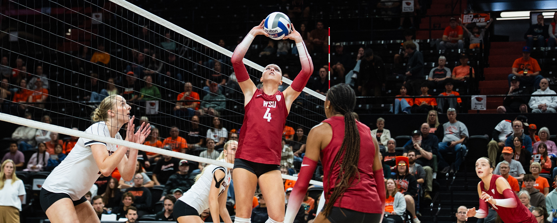 Cougs take Oregon State to the edge but can't close it out
