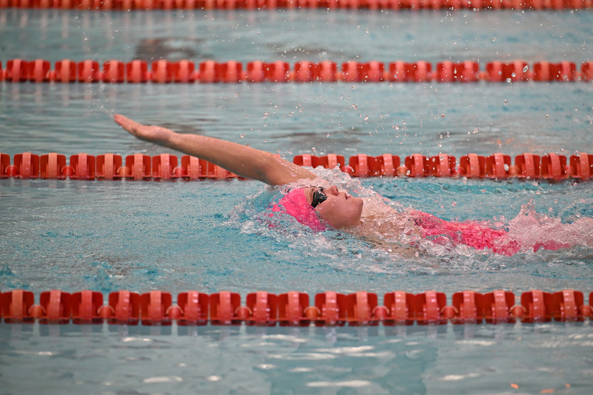 Swimming Cougs take on the Rockies and MPSF open water
