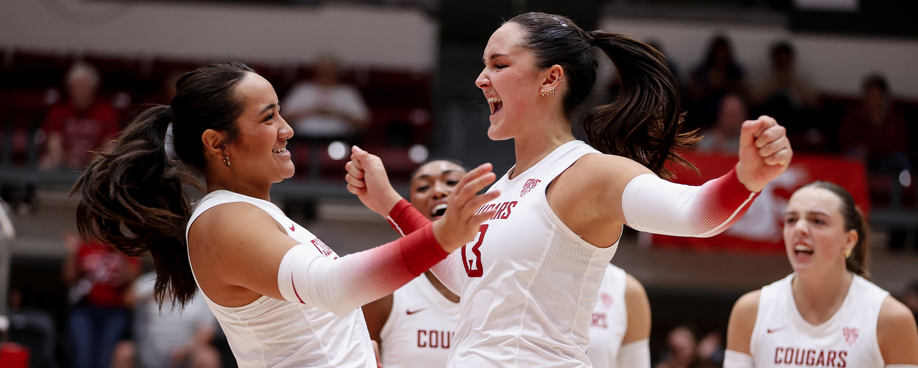 WSU Cougar Volleyball: Highlights, Interviews & Box Scores