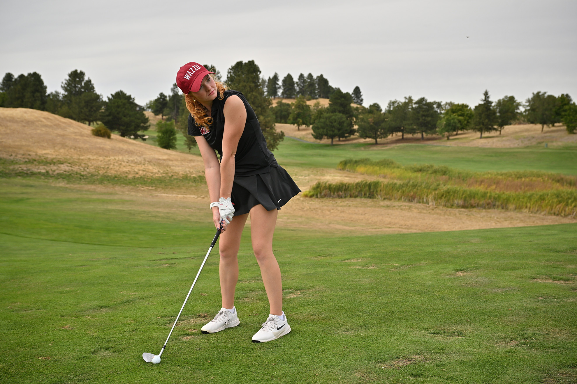 Coug women's golf closes fall season with a trip to Hawai'i