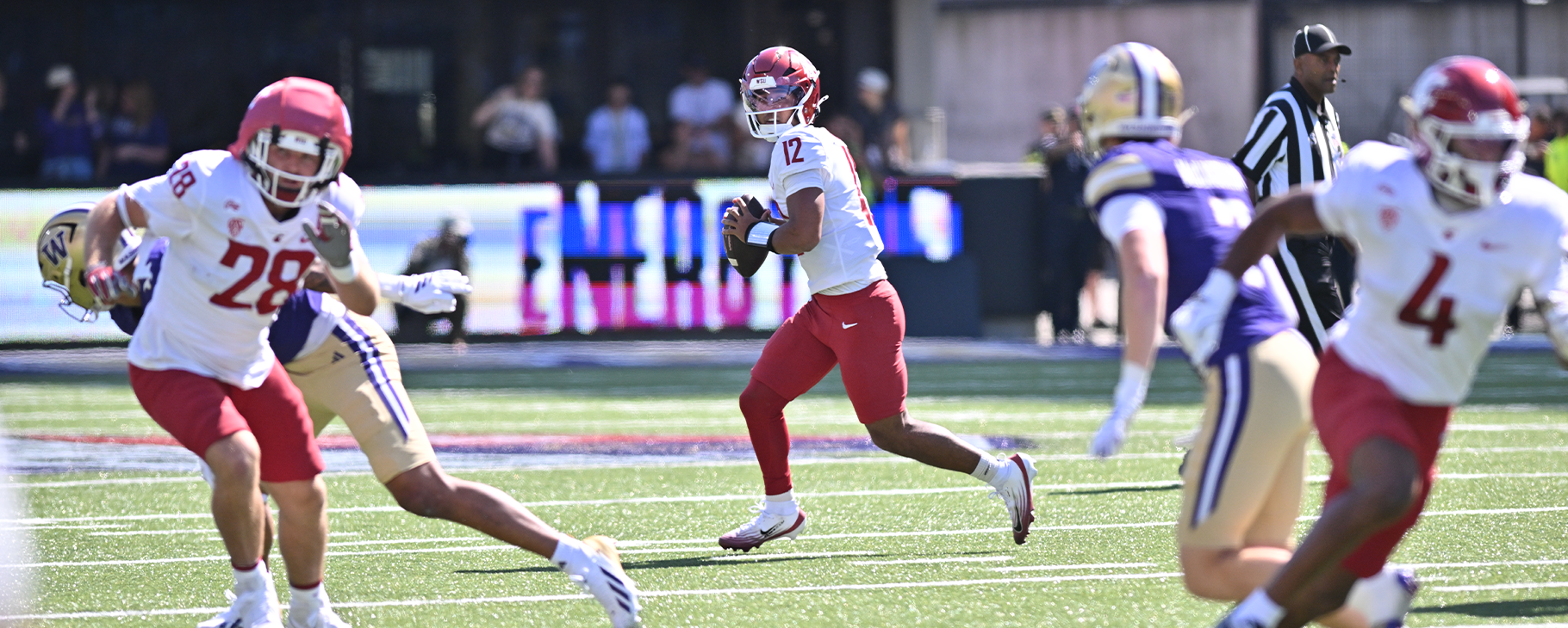 Cougars Fall to Washington in Apple Cup, 24-10
