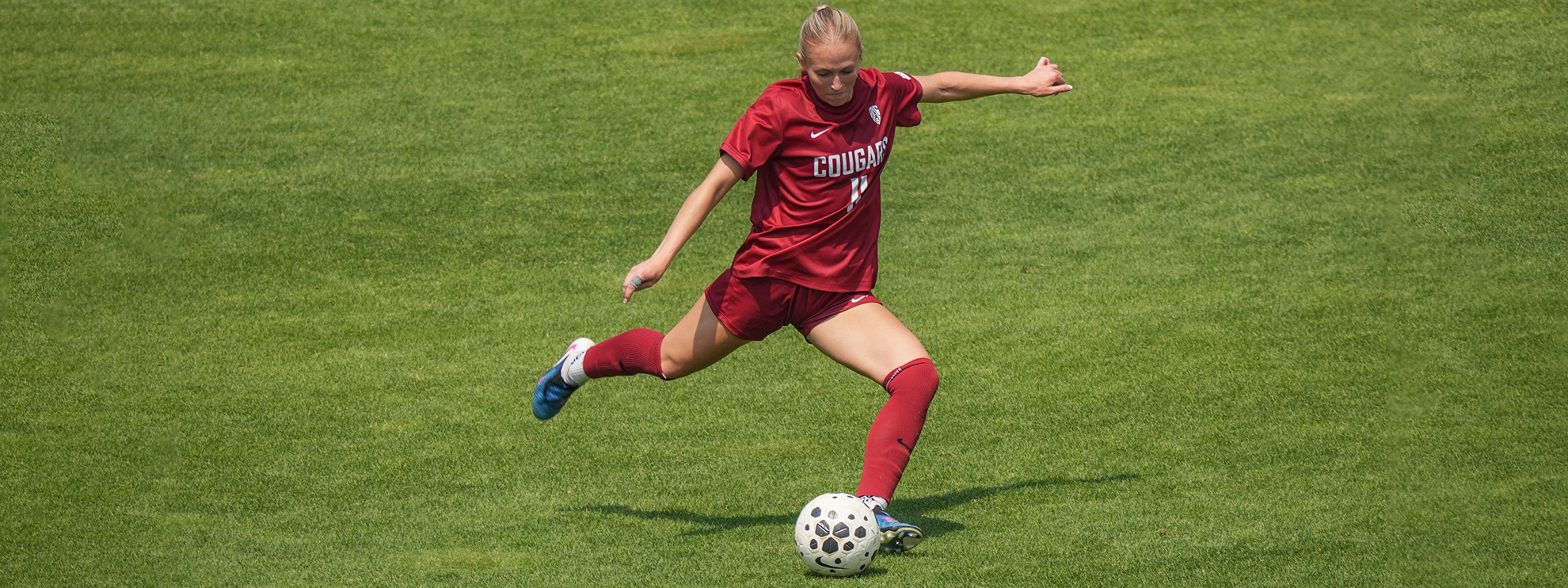 WSU Soccer Blanks Hawaii Behind Dvorak’s Shutout